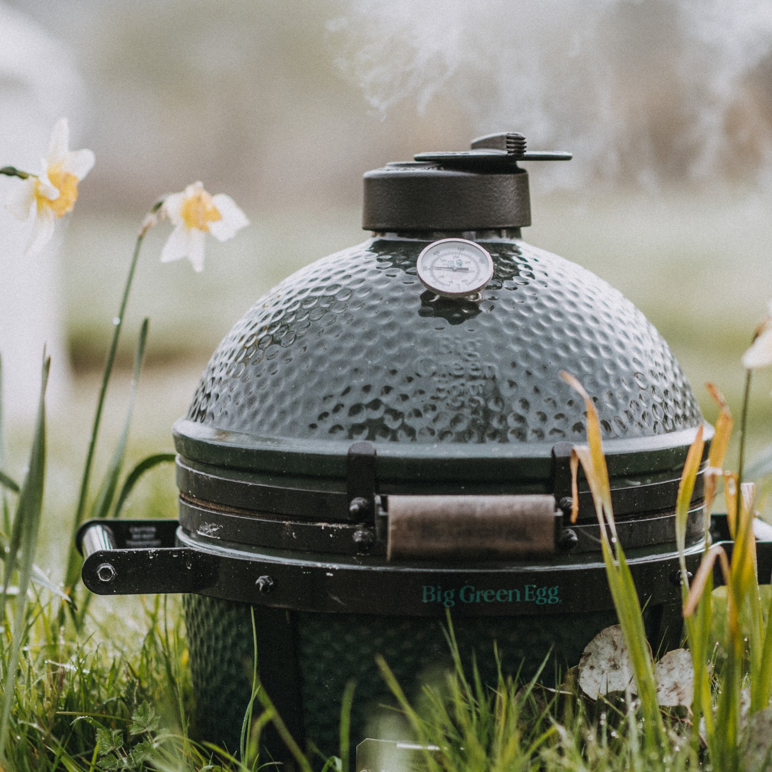 products/1.EGGs-MiniMax-Easter-MattAustin-BigGreenEgg.jpgdaffodils.jpg